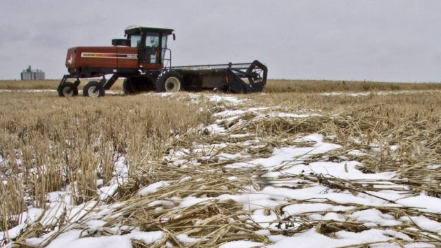 Western Canada Poor Weather Continues to Hamper Harvest !!!