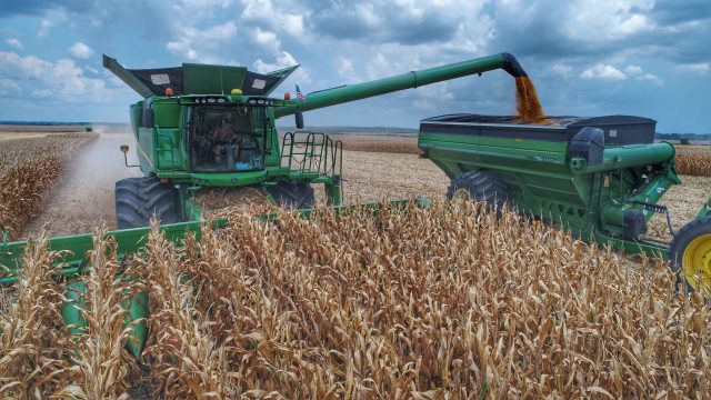 Russia Corn Export to reach 6 million Tons !!!