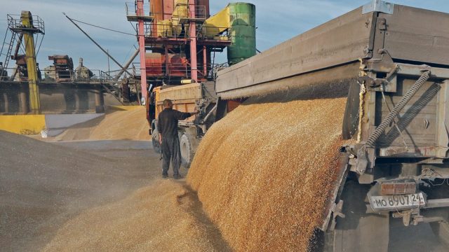 RUSSIAN MINISTRY OF AGRICULTURE, CONFIRMED FORECAST GRAIN Harvest at 120 mil/ton in 2019 !!!
