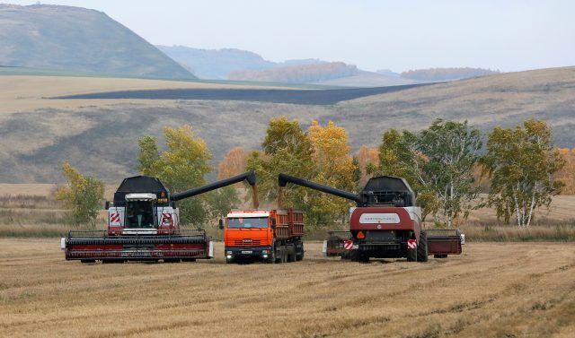 Russia Grain Production 2019 – Rosstat Estimates Gross Production at 120.6 million tons !!!