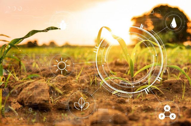 Leu-Agro will deliver it’s operational intelligence through the Microsoft’s Azure FarmBeats
