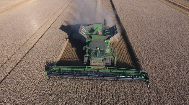 Harvest Update Russia, as of August 10 Farmers Harvested 73.5 million tons of Grain