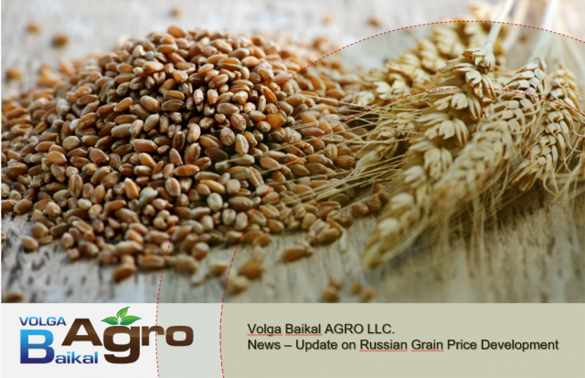 Volga Baikal AGRO NEWS Update on the Situation on the Russian Grain Market Development from 3 to 7 August 2020