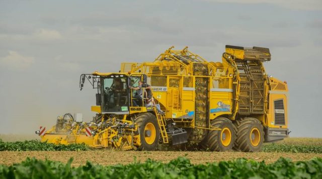 Analysts Expect record sugar beet harvest