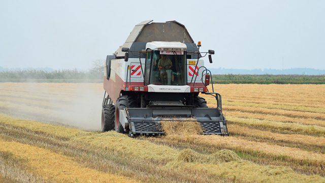 Volga Baikal AGRO News Update on Rice Harvesting in the Krasnodar Territory !!!