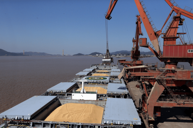Volga Baikal AGRO News Update on Situation on Quota for the Export of Grain from the Russian Federation !!!