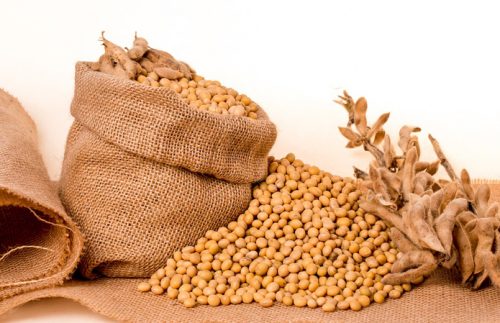 Volga Baikal AGRO NEWS Update on the World Market of Soybeans !!!