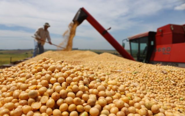 Volga Baikal AGRO NEWS Update on the Situation on the Soybean Exports !!!