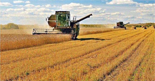 Volga Baikal AGRO News Update on the Latest Total Grain Harvest Output 2020 in the Russian Federation !!!