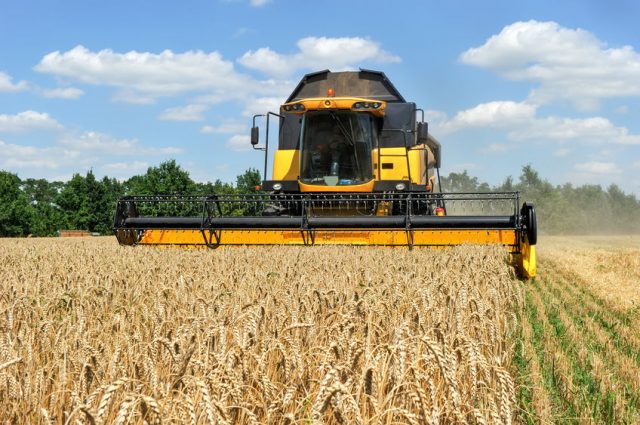 Volga Baikal AGRO NEWS Update on Wheat Situation in Russia !!!