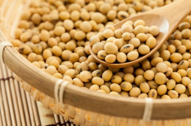 Volga Baikal AGRO NEWS Update on the Russian Soybeans Market !!!