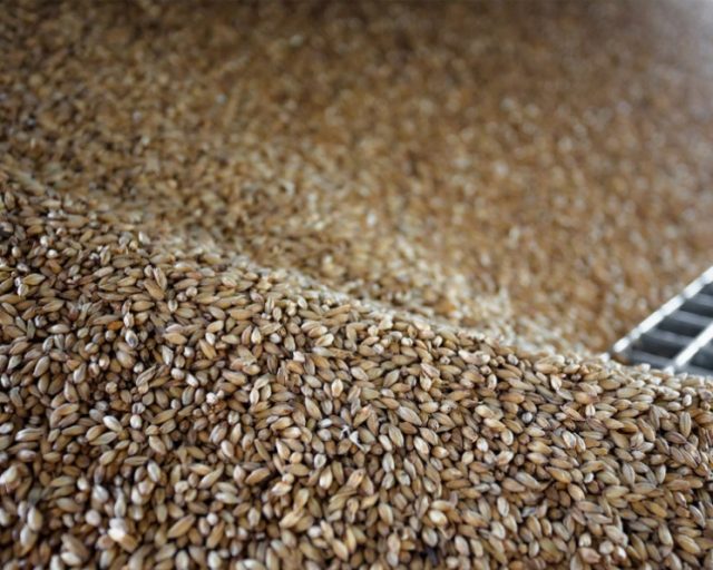 Volga Baikal AGRO NEWS Update on the Russian Wheat Exports !!!