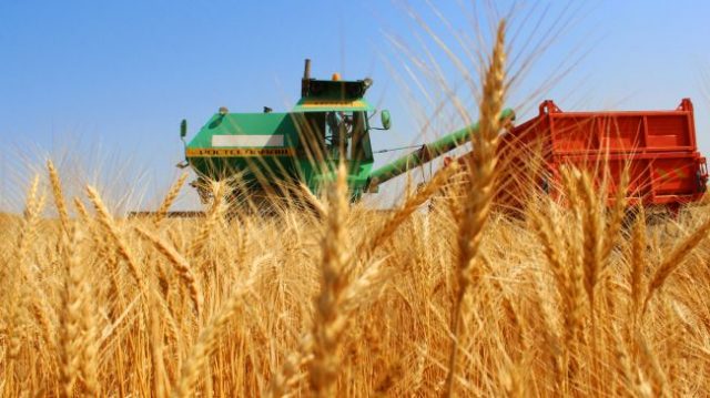 Volga Baikal AGRO NEWS Update on the Forecast for the Export of the Russian Wheat !!!