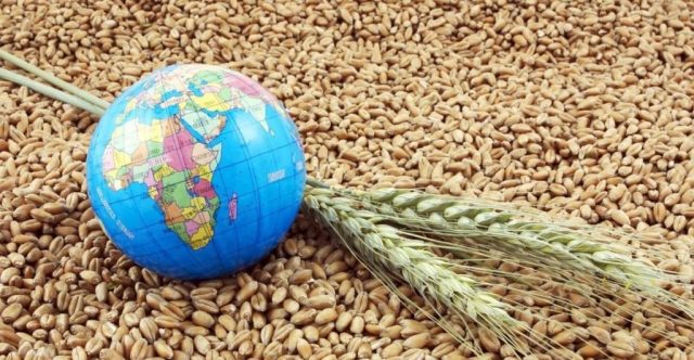 Volga Baikal AGRO NEWS Update on the Russian Crops Exports !!!