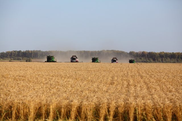 Volga Baikal AGRO NEWS Update on the Russian Agriculture Development !!!
