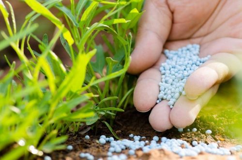 Volga Baikal AGRO NEWS Update on the Mineral Fertilizers !!!