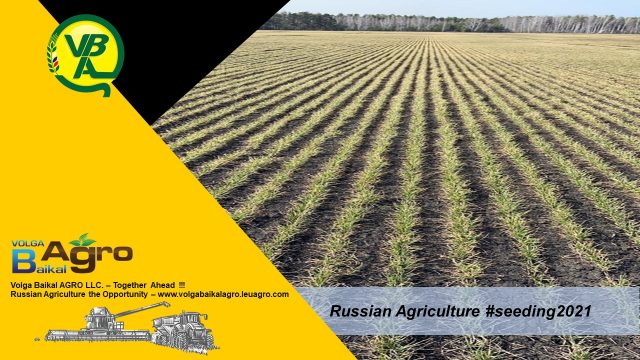 Volga Baikal AGRO News Update on the Start of the Seeding in Russia !!!