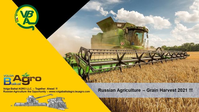 Volga Baikal AGRO NEWS Update on the Forecast for the Grain Harvest !!!