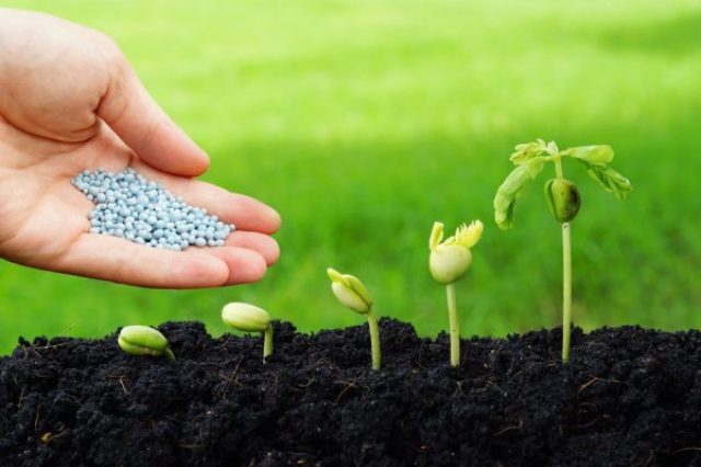 Volga Baikal AGRO News Update on the FERTILIZER PRICES in RUSSIA !!!