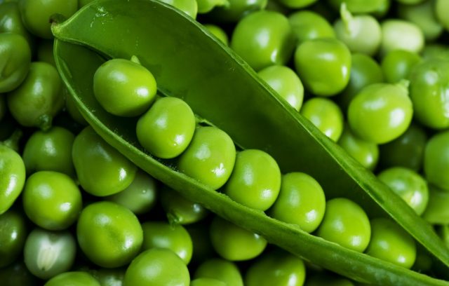 Volga Baikal AGRO News Update on the Export of Peas from the Russian Federation !!!