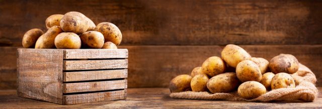 Volga Baikal AGRO News Update on the Development of the Domestic Vegetable & Potato Growing !!!