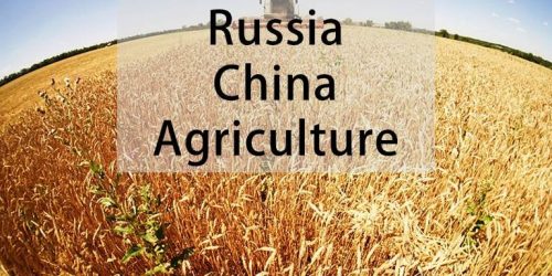 Volga Baikal AGRO NEWS Update on the Relationships in Global Food Markets !!!