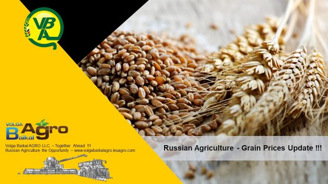 Volga Baikal AGRO NEWS Update on the Russian Grain Price Development !!!
