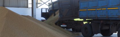 Volga Baikal AGRO NEWS Update on the Wheat Exports from Russia !!!