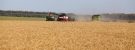 Volga Baikal AGRO NEWS Update on the Grain Prices Situation in the RF !!!