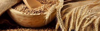 Volga Baikal AGRO NEWS Update on the supply of the Russian grain to Africa !!!