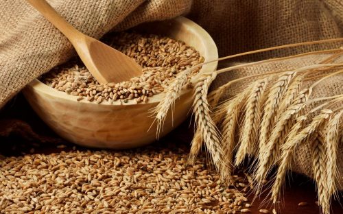 Volga Baikal AGRO NEWS Update on the supply of the Russian grain to Africa !!!